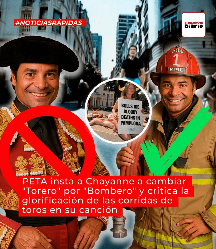 imagen ampliada-
