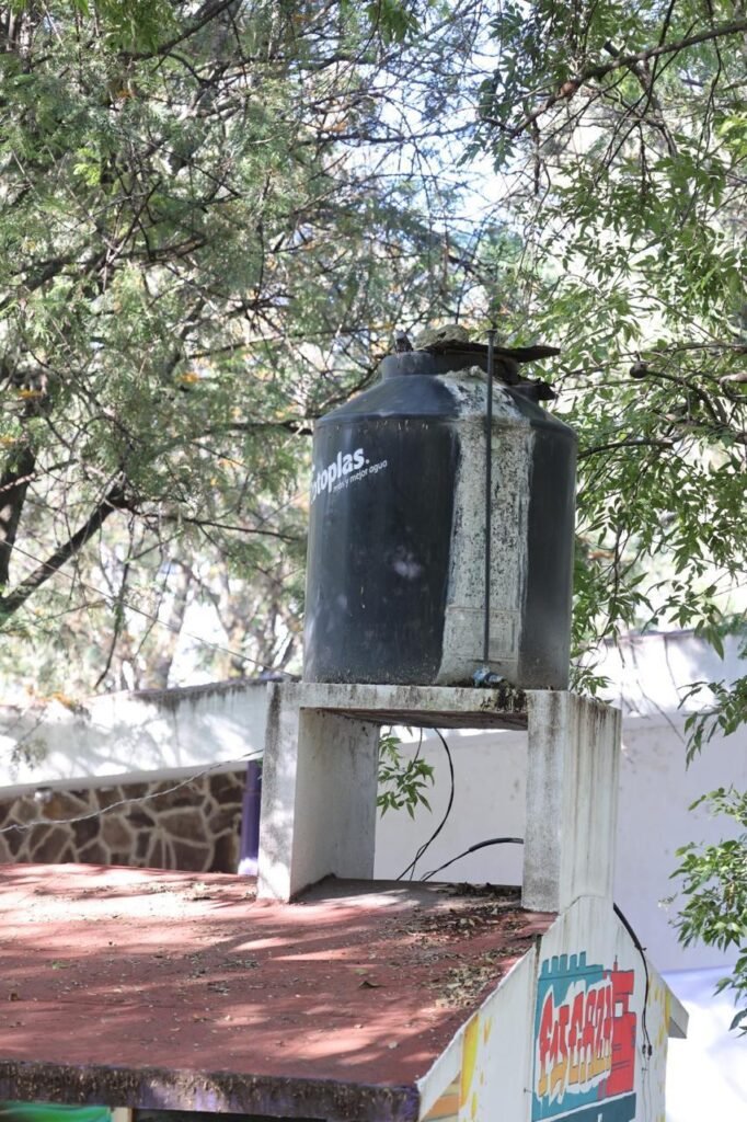 Rehabilitacion ITJ 6-