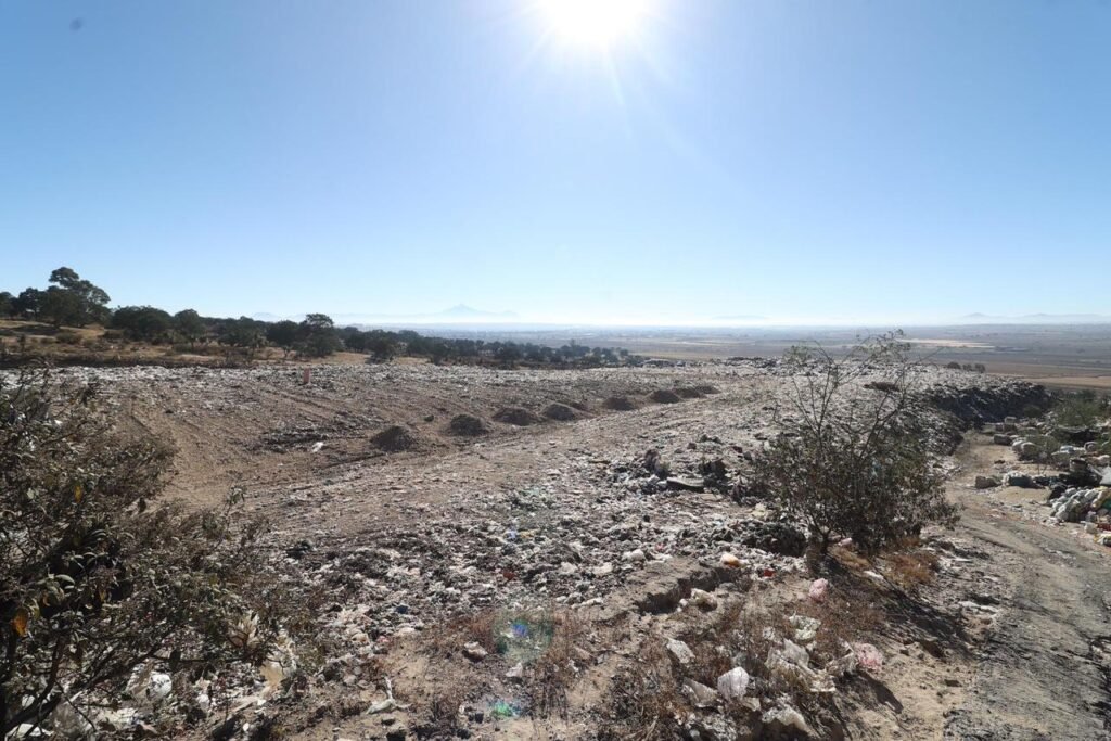 IMG 20251104 WA0002-