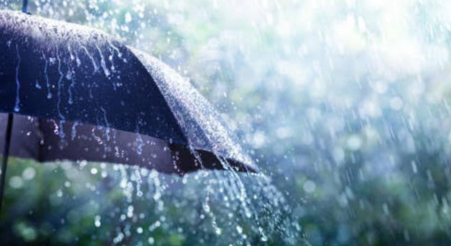 Captura de pantalla 2026 04 02 092831-